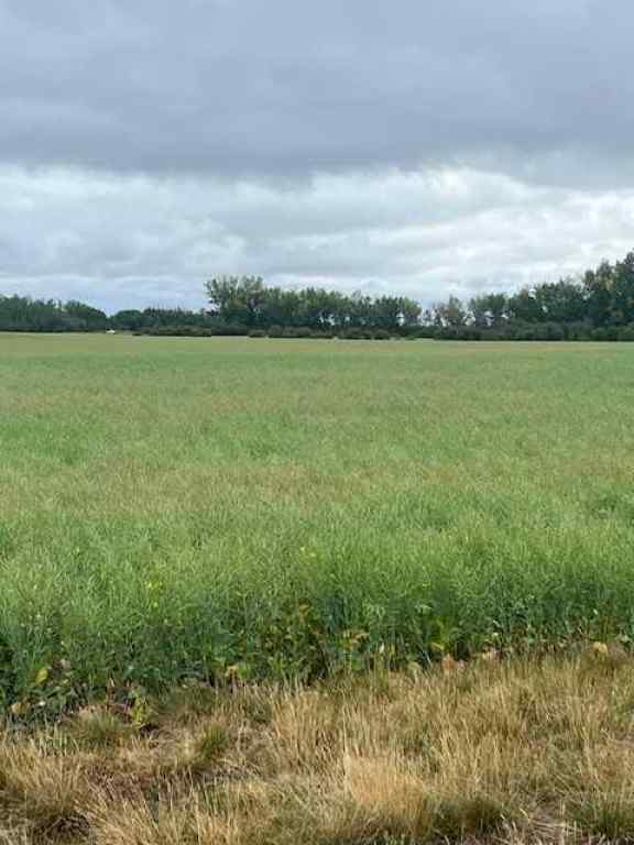 MLS® A2245808 - Unit #892021 221 Range Road   in NONE Rural Northern Lights, County of, Agri-Business