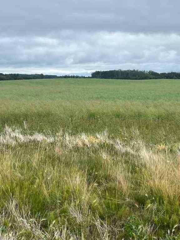 MLS® A2245808 - Unit #892021 221 Range Road   in NONE Rural Northern Lights, County of, Agri-Business