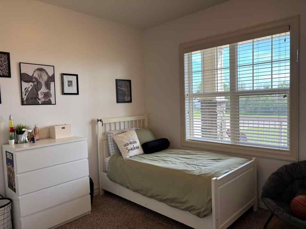 MLS® A2245836 - 217 6 Avenue  in NONE Stirling, Residential
