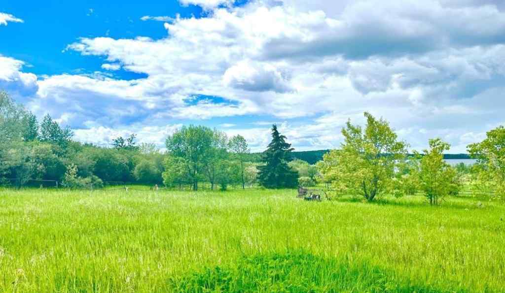 MLS® A2245897 - 12528 Twp Rd 683 # NE 19   in NONE Lac La Biche, Land