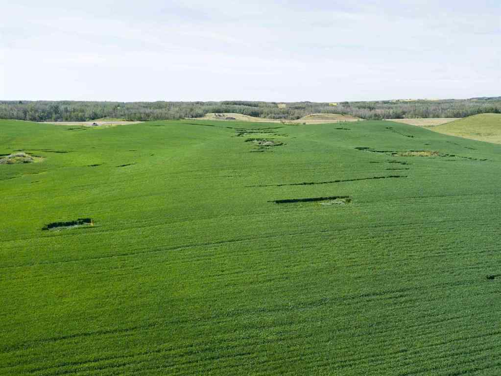 MLS® A2245923 - SW,26,35,22,W$M Hi way 590 Highway  in NONE Elnora, Agri-Business