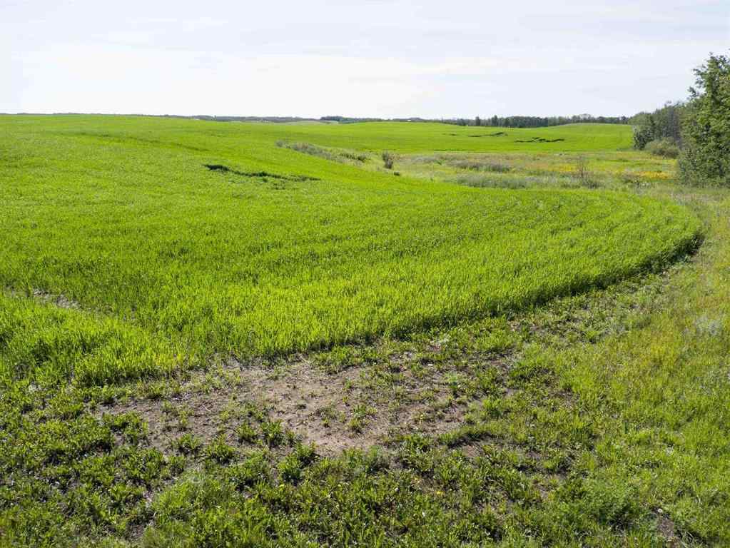 MLS® A2245923 - SW,26,35,22,W$M Hi way 590 Highway  in NONE Elnora, Agri-Business