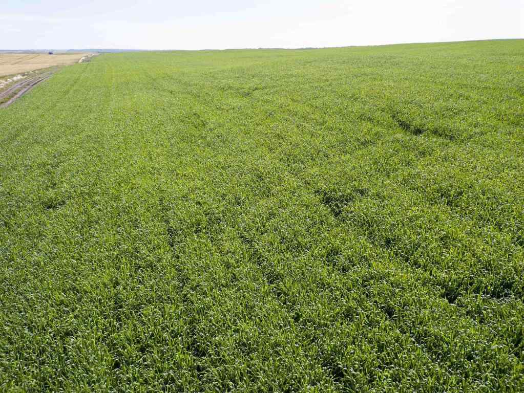 MLS® A2245923 - SW,26,35,22,W$M Hi way 590 Highway  in NONE Elnora, Agri-Business