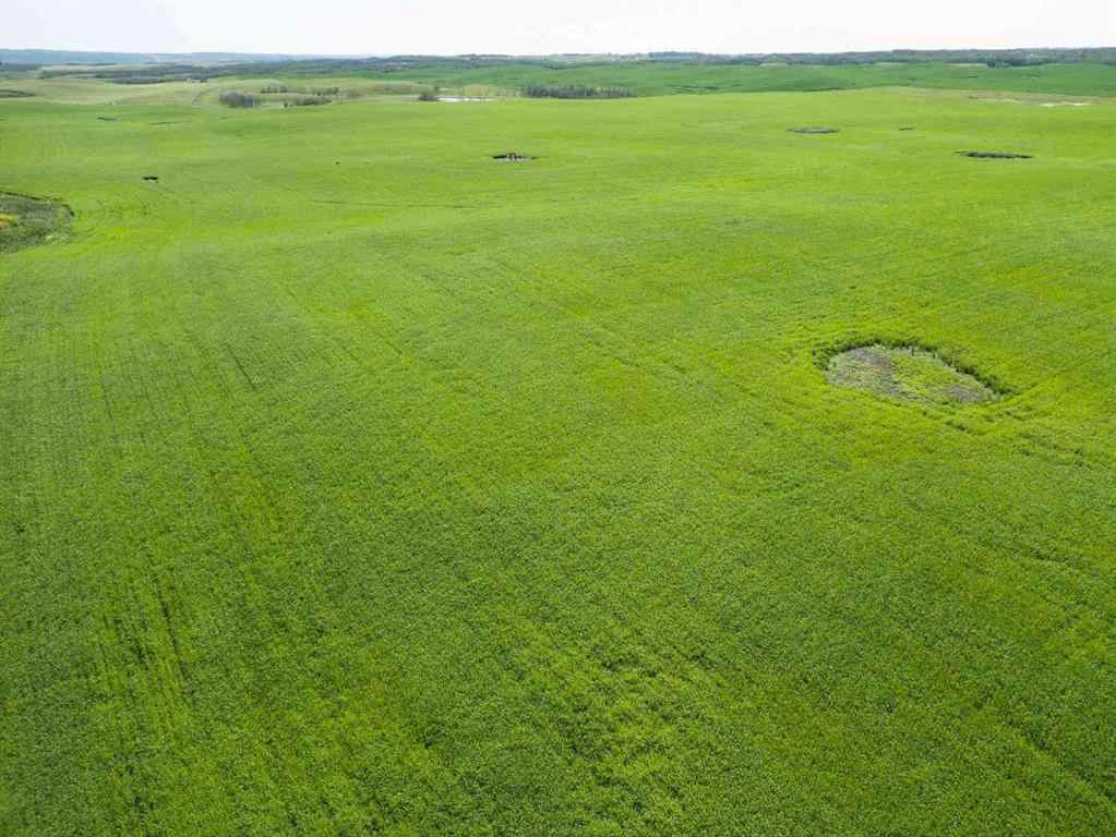 MLS® A2245923 - SW,26,35,22,W$M Hi way 590 Highway  in NONE Elnora, Agri-Business
