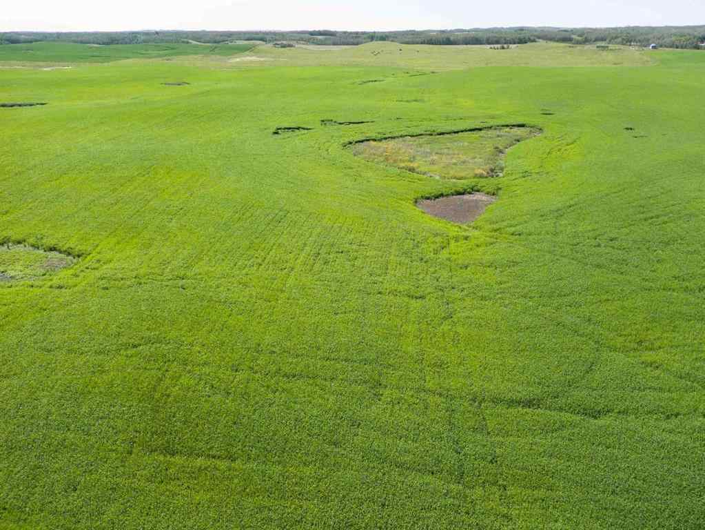 MLS® A2245923 - SW,26,35,22,W$M Hi way 590 Highway  in NONE Elnora, Agri-Business