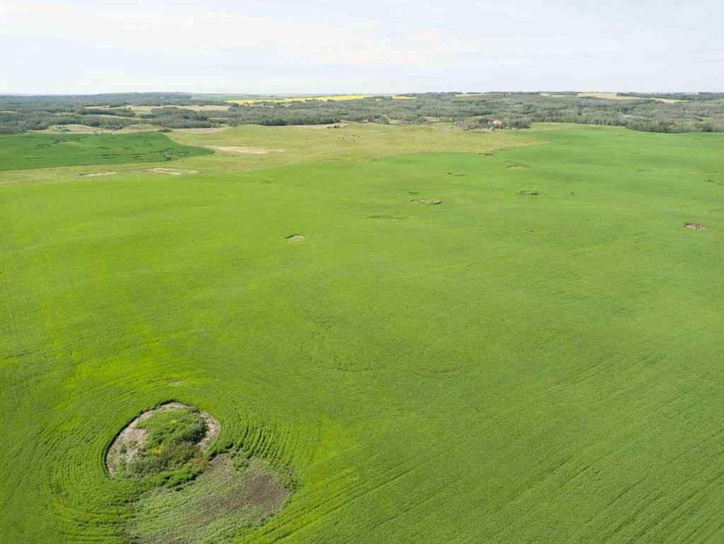 MLS® A2245923 - SW,26,35,22,W$M Hi way 590 Highway  in NONE Elnora, Agri-Business