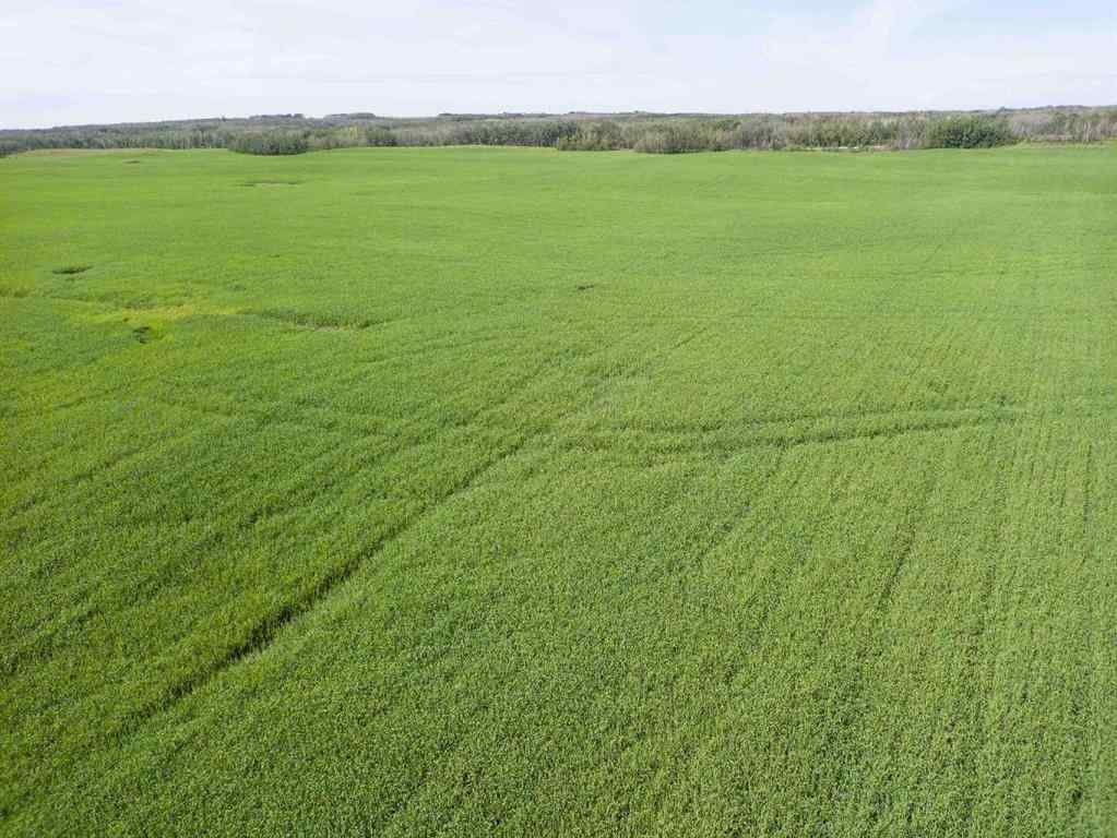 MLS® A2245923 - SW,26,35,22,W$M Hi way 590 Highway  in NONE Elnora, Agri-Business