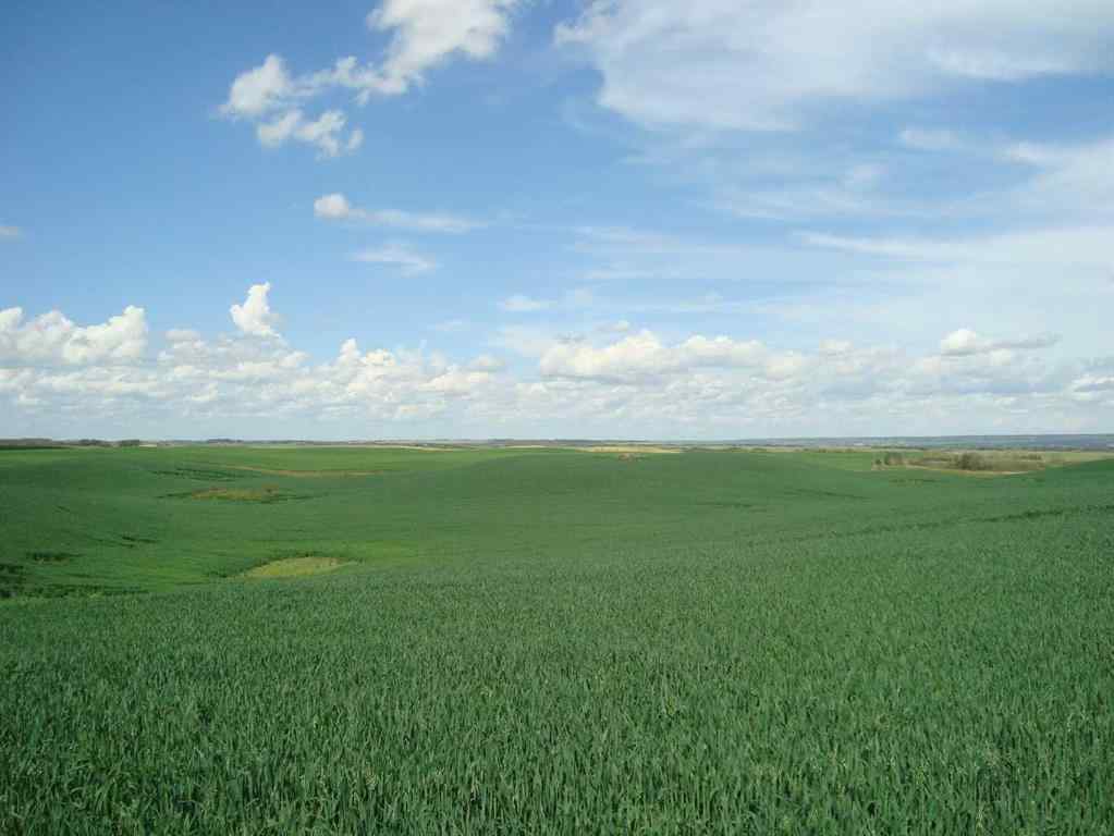 MLS® A2245923 - SW,26,35,22,W$M Hi way 590 Highway  in NONE Elnora, Agri-Business