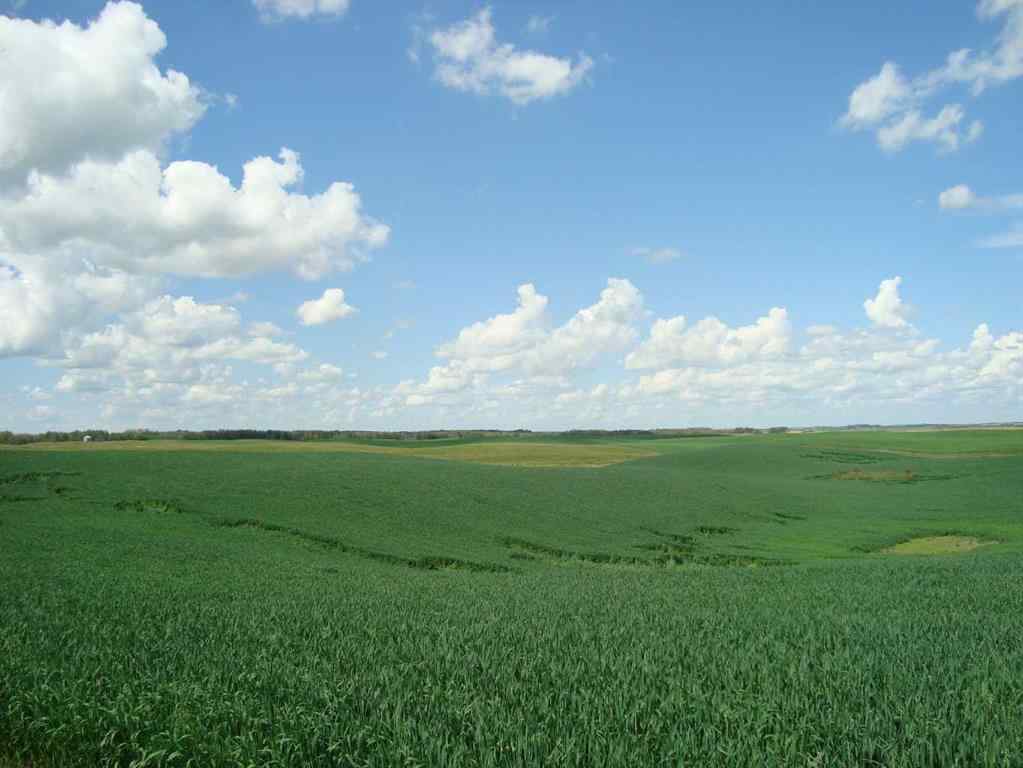 MLS® A2245923 - SW,26,35,22,W$M Hi way 590 Highway  in NONE Elnora, Agri-Business