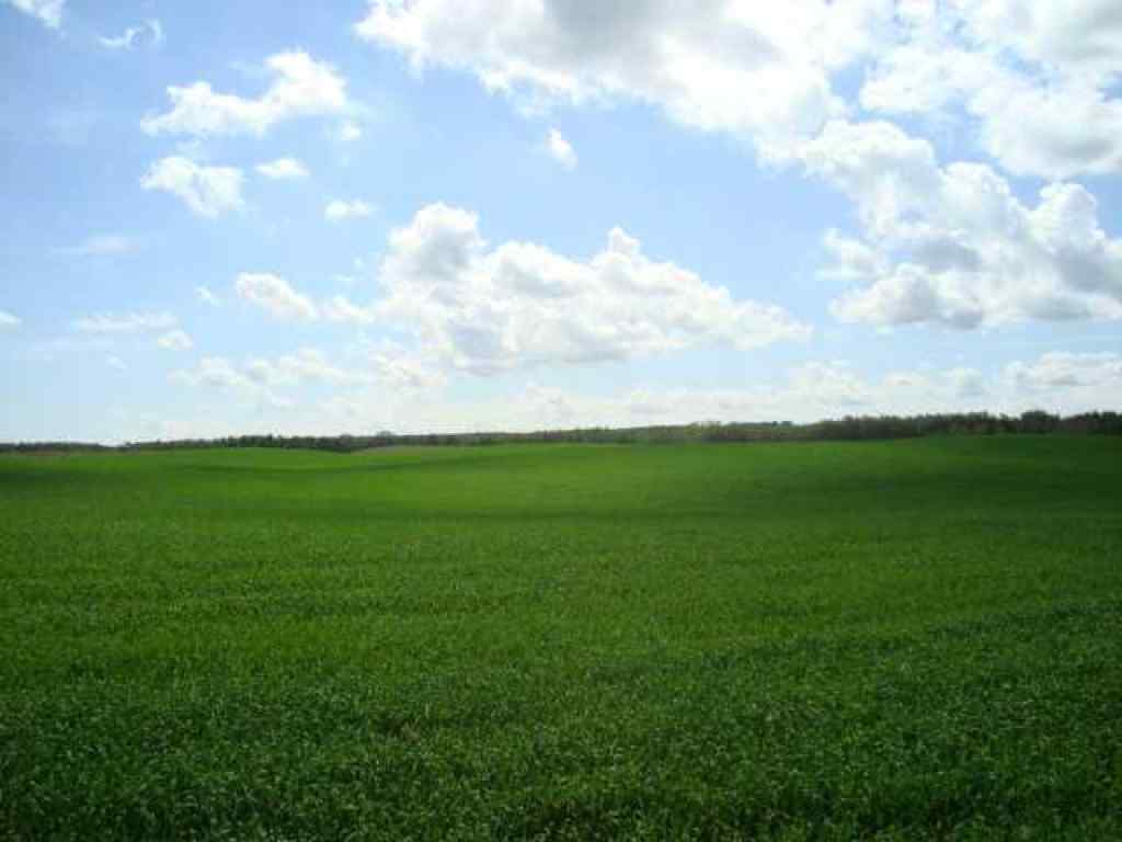 MLS® A2245923 - SW,26,35,22,W$M Hi way 590 Highway  in NONE Elnora, Agri-Business