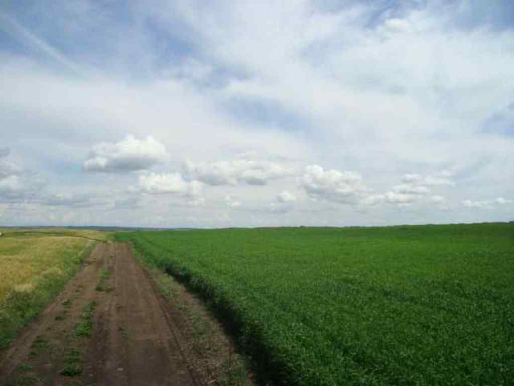 MLS® A2245923 - SW,26,35,22,W$M Hi way 590 Highway  in NONE Elnora, Agri-Business