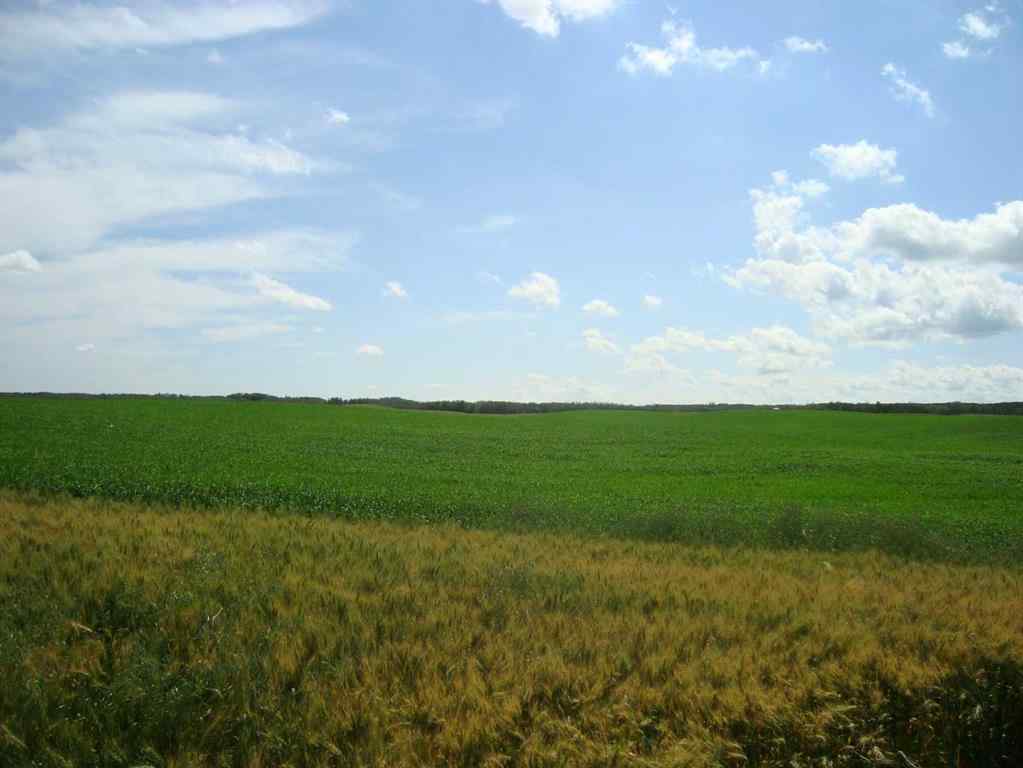 MLS® A2245923 - SW,26,35,22,W$M Hi way 590 Highway  in NONE Elnora, Agri-Business