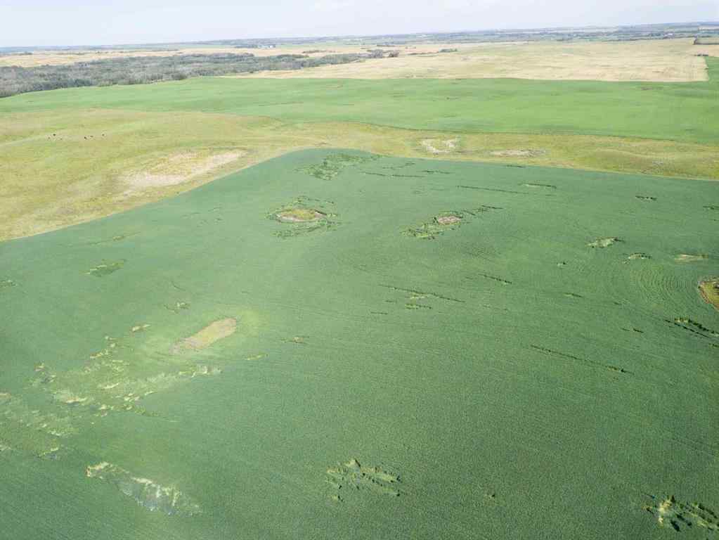 MLS® A2245923 - SW,26,35,22,W$M Hi way 590 Highway  in NONE Elnora, Agri-Business