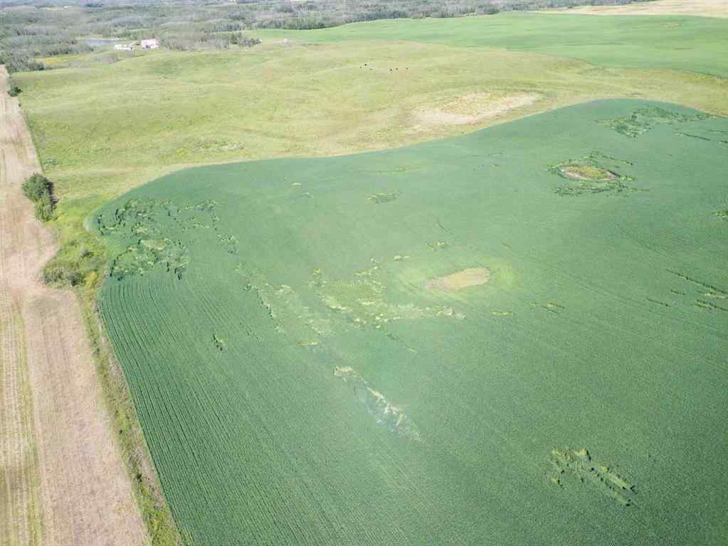 MLS® A2245923 - SW,26,35,22,W$M Hi way 590 Highway  in NONE Elnora, Agri-Business