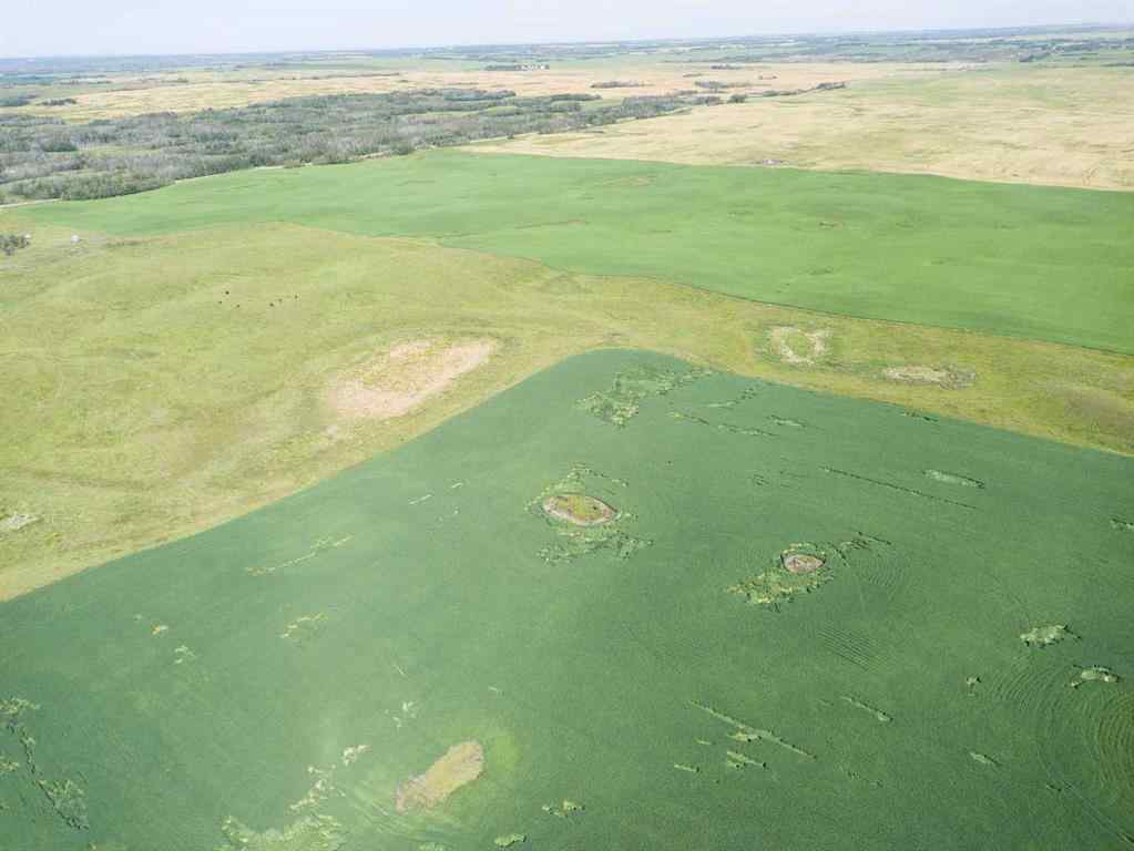 MLS® A2245923 - SW,26,35,22,W$M Hi way 590 Highway  in NONE Elnora, Agri-Business