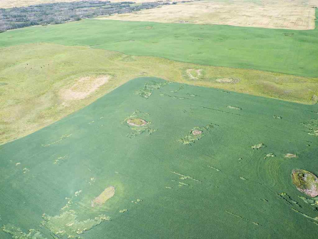 MLS® A2245923 - SW,26,35,22,W$M Hi way 590 Highway  in NONE Elnora, Agri-Business