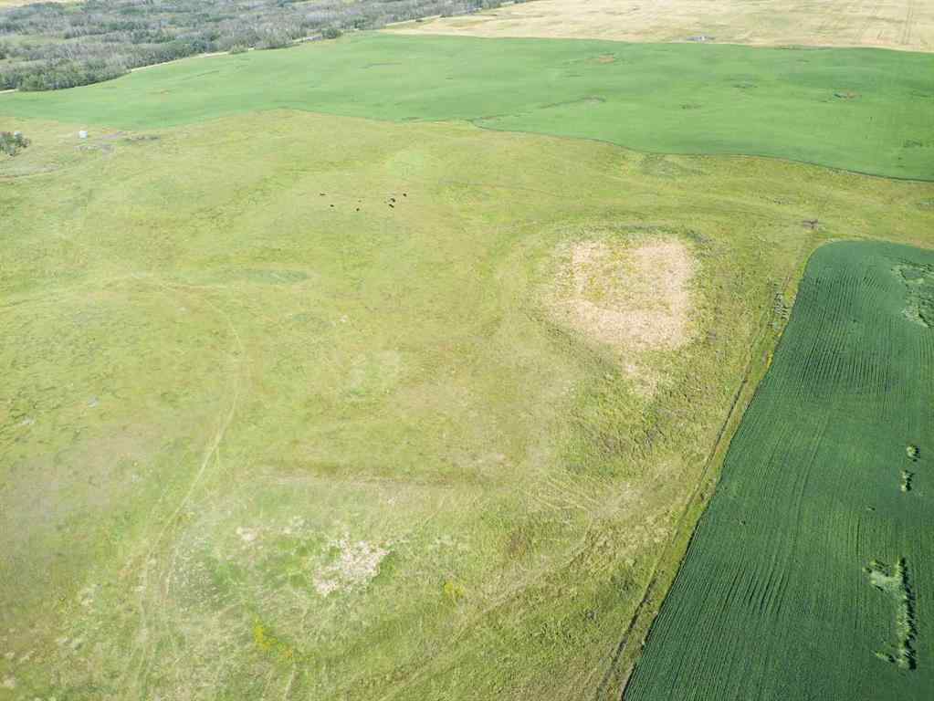 MLS® A2245923 - SW,26,35,22,W$M Hi way 590 Highway  in NONE Elnora, Agri-Business
