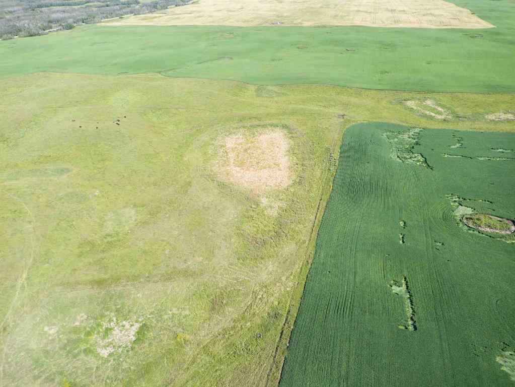 MLS® A2245923 - SW,26,35,22,W$M Hi way 590 Highway  in NONE Elnora, Agri-Business
