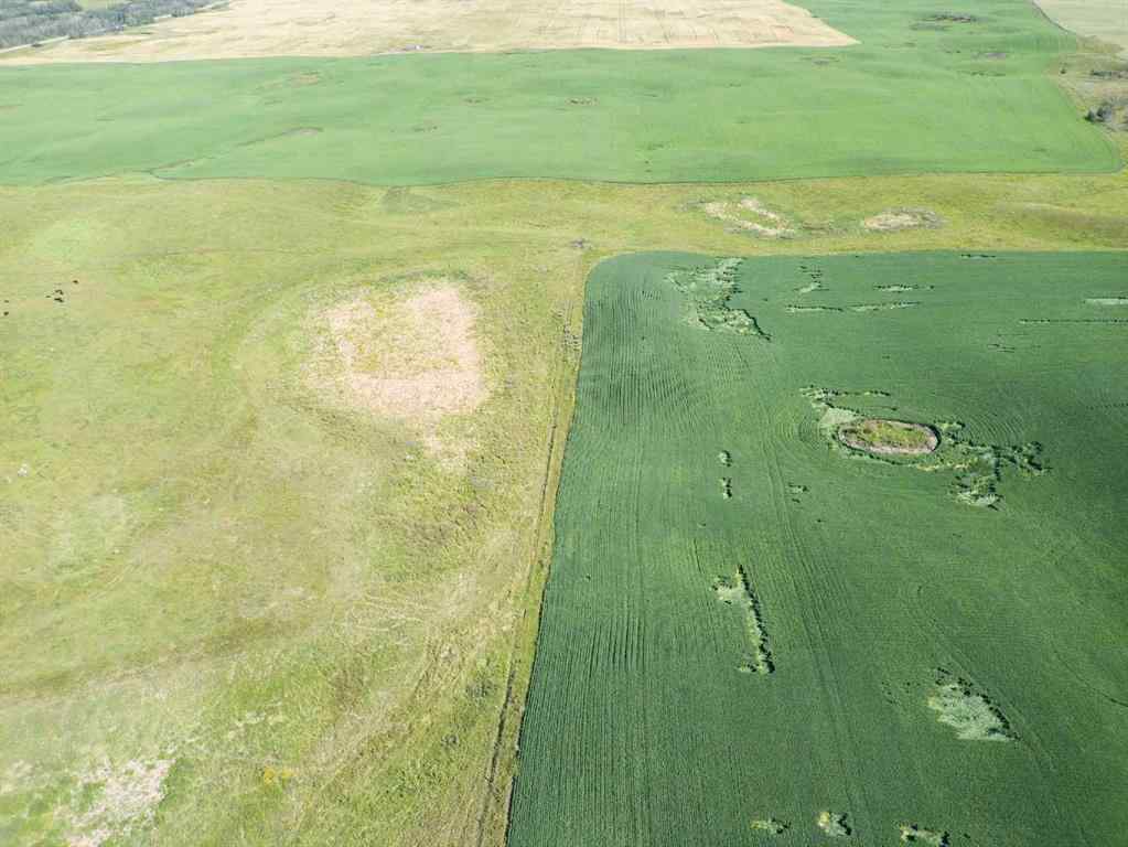 MLS® A2245923 - SW,26,35,22,W$M Hi way 590 Highway  in NONE Elnora, Agri-Business