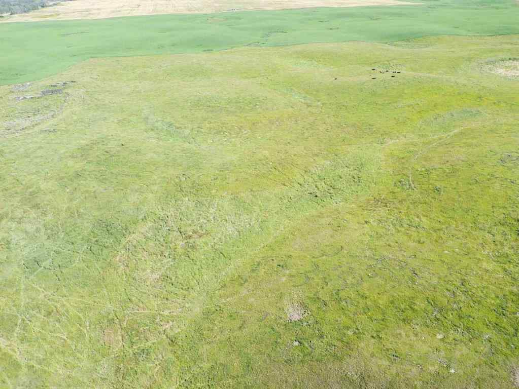 MLS® A2245923 - SW,26,35,22,W$M Hi way 590 Highway  in NONE Elnora, Agri-Business