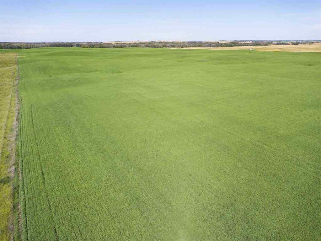 MLS® A2245923 - SW,26,35,22,W$M Hi way 590 Highway  in NONE Elnora, Agri-Business