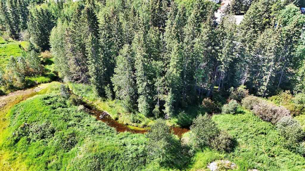MLS® A2246003 - 4304 42 Avenue  in Rocky Mtn House Rocky Mountain House, Land