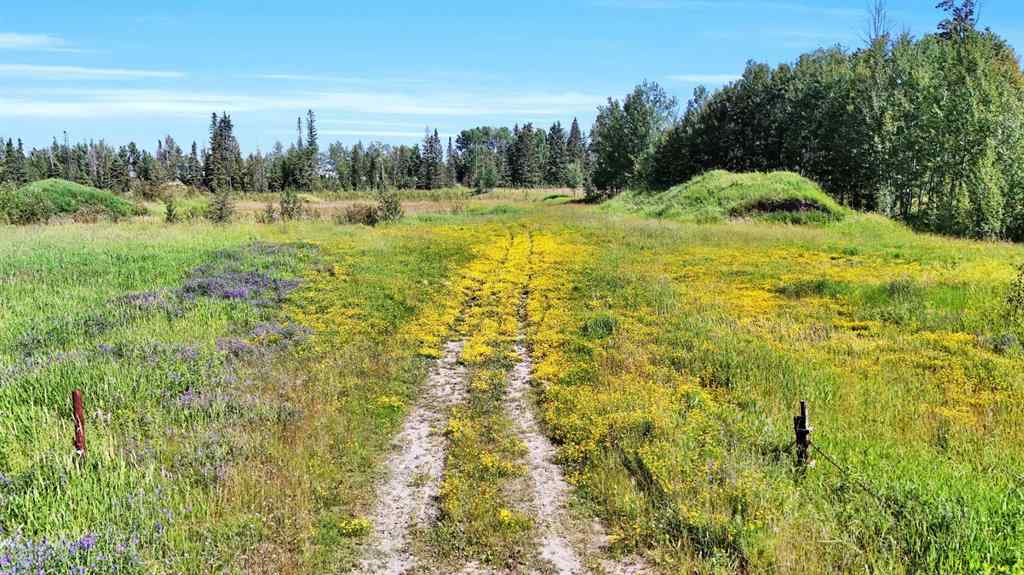 MLS® A2246003 - 4304 42 Avenue  in Rocky Mtn House Rocky Mountain House, Land