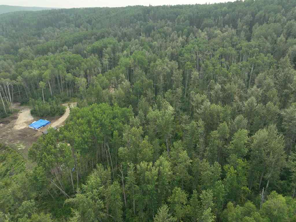 MLS® A2246026 - #15 Wapiti River   in NONE Rural Grande Prairie No. 1, County of, Land