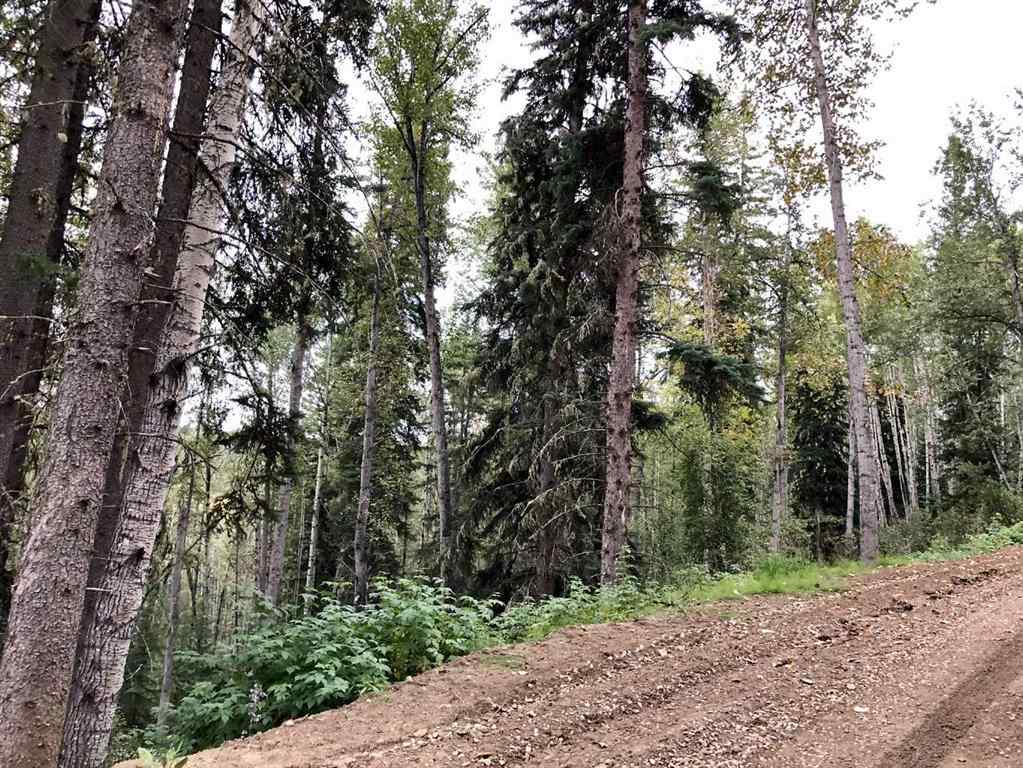 MLS® A2246026 - #15 Wapiti River   in NONE Rural Grande Prairie No. 1, County of, Land