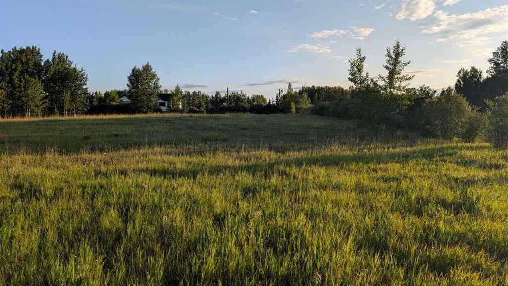 MLS® A2246085 - 19 Lariat Loop  in Springbank Rural Rocky View County, Land