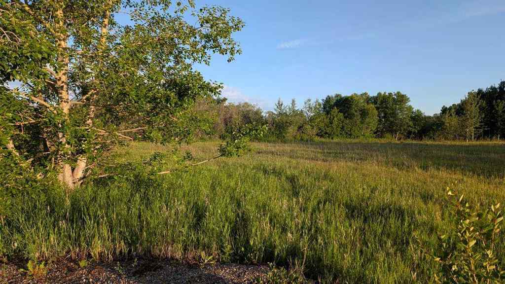 MLS® A2246085 - 19 Lariat Loop  in Springbank Rural Rocky View County, Land