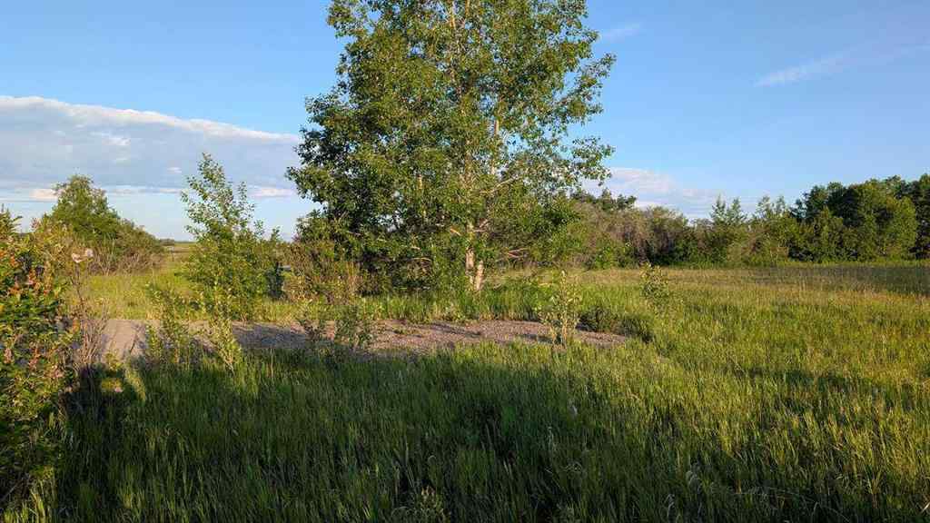 MLS® A2246085 - 19 Lariat Loop  in Springbank Rural Rocky View County, Land