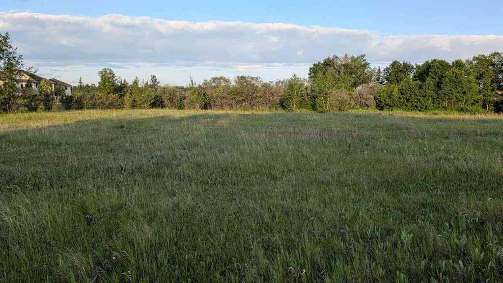 MLS® A2246085 - 19 Lariat Loop  in Springbank Rural Rocky View County, Land