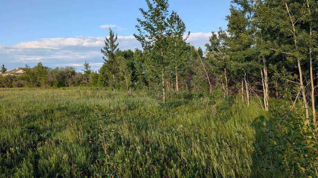 MLS® A2246085 - 19 Lariat Loop  in Springbank Rural Rocky View County, Land