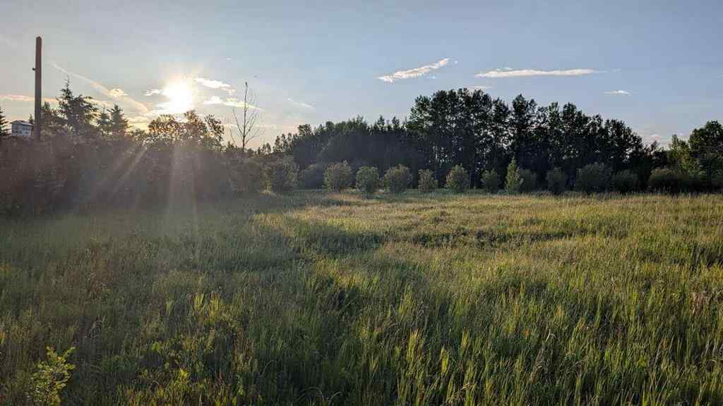 MLS® A2246085 - 19 Lariat Loop  in Springbank Rural Rocky View County, Land