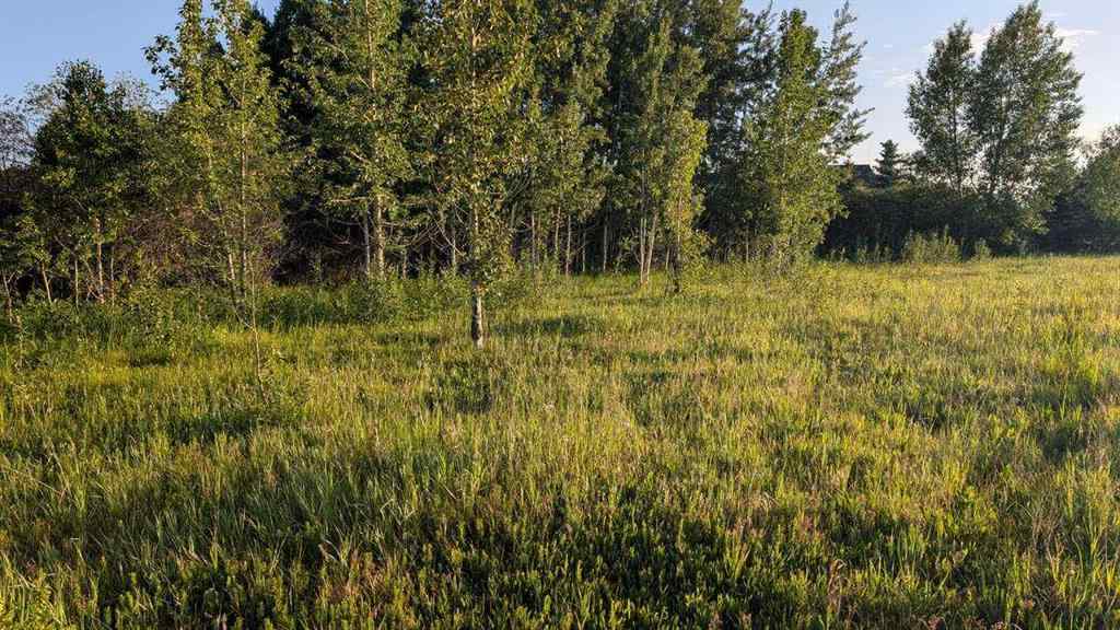 MLS® A2246085 - 19 Lariat Loop  in Springbank Rural Rocky View County, Land