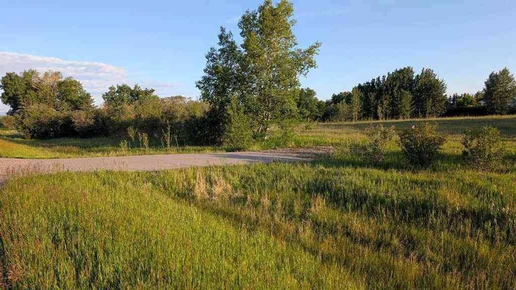 MLS® A2246085 - 19 Lariat Loop  in Springbank Rural Rocky View County, Land