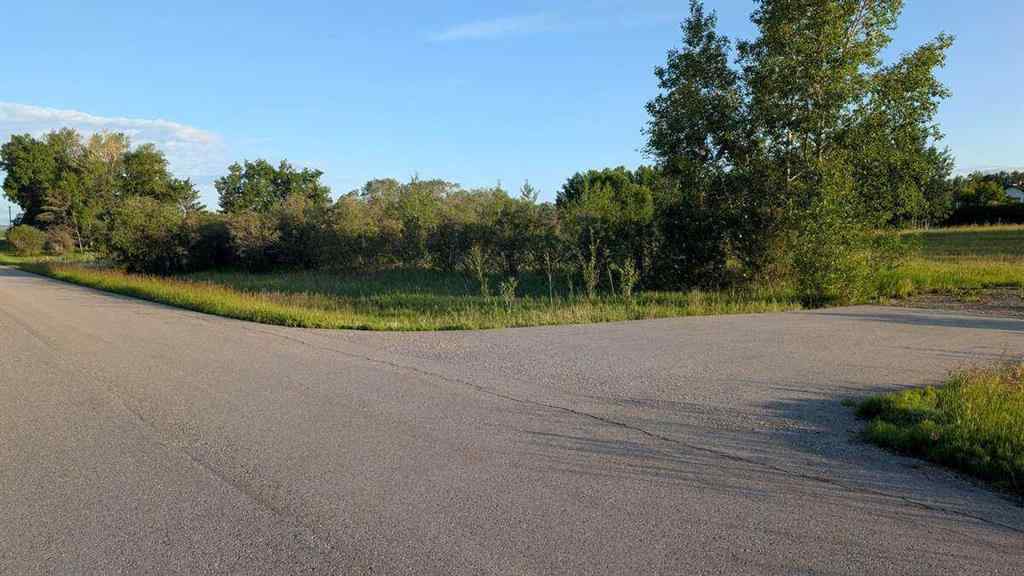 MLS® A2246085 - 19 Lariat Loop  in Springbank Rural Rocky View County, Land