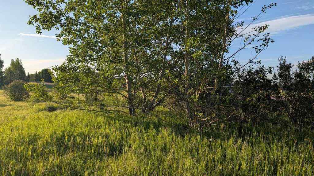 MLS® A2246085 - 19 Lariat Loop  in Springbank Rural Rocky View County, Land