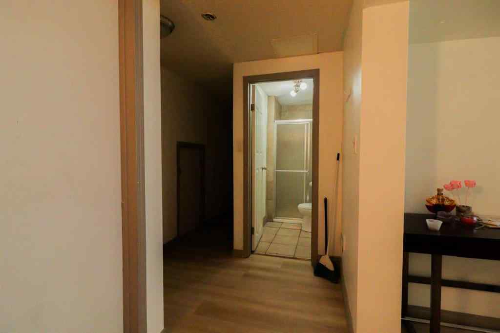 MLS® A2246149 - 236 Pinetree Road NE in Pineridge Calgary, Residential
