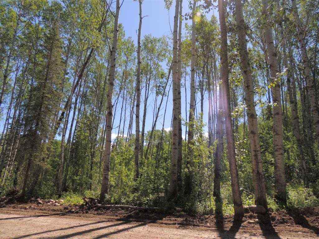MLS® A2246231 - Lot #36 Wapiti River SW-21-69-10-W6   in NONE Rural Grande Prairie No. 1, County of, Land