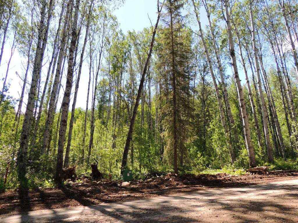 MLS® A2246231 - Lot #36 Wapiti River SW-21-69-10-W6   in NONE Rural Grande Prairie No. 1, County of, Land