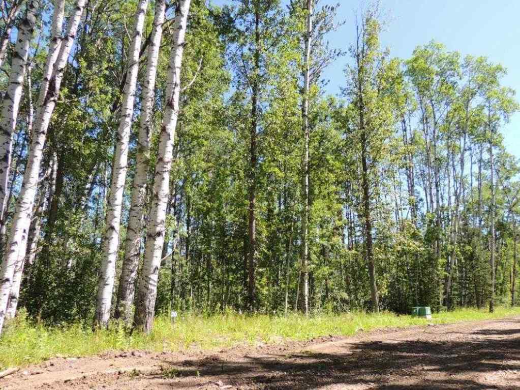 MLS® A2246235 - Lot #20 Wapiti River SW-21-69-10-W6   in NONE Rural Grande Prairie No. 1, County of, Land