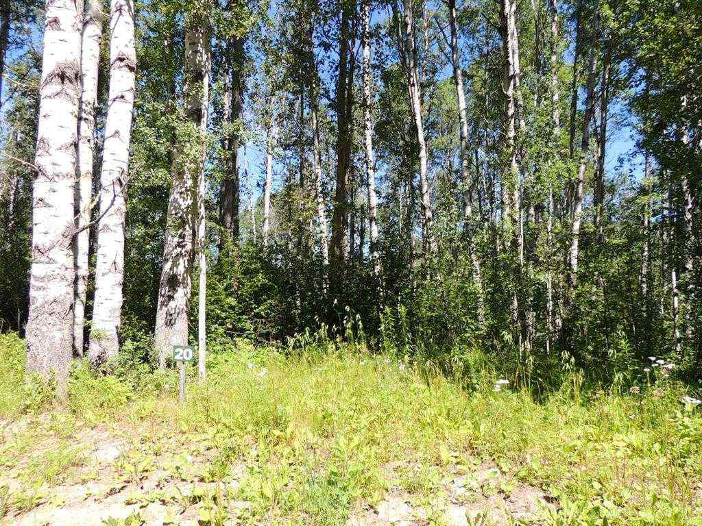 MLS® A2246235 - Lot #20 Wapiti River SW-21-69-10-W6   in NONE Rural Grande Prairie No. 1, County of, Land
