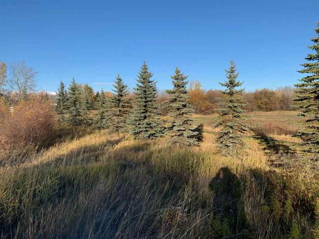 MLS® A2246250 - Unit #6 711007 Range Road 63   in Dunkley Meadows Rural Grande Prairie No. 1, County of, Land