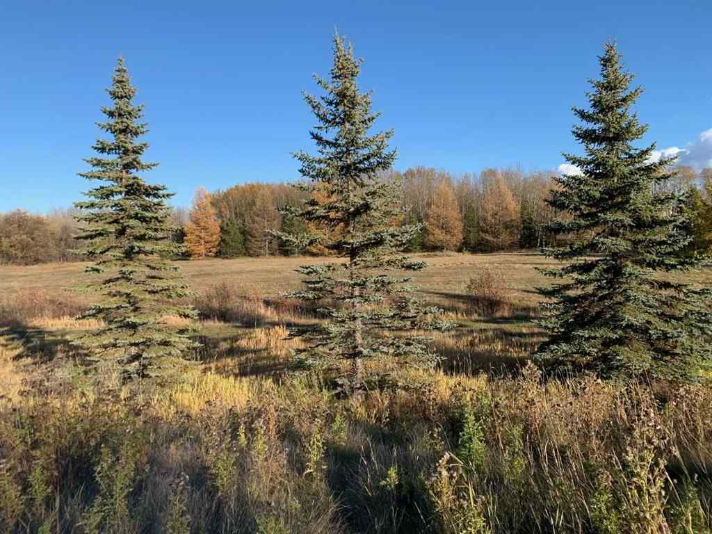 MLS® A2246250 - Unit #6 711007 Range Road 63   in Dunkley Meadows Rural Grande Prairie No. 1, County of, Land
