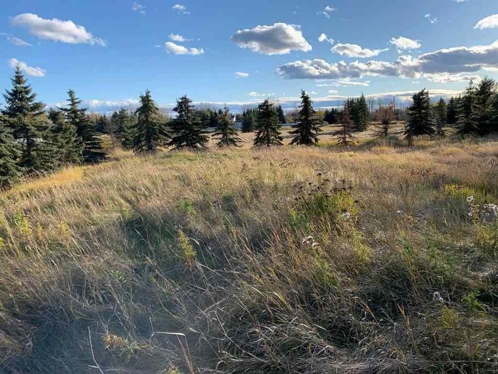 MLS® A2246250 - Unit #6 711007 Range Road 63   in Dunkley Meadows Rural Grande Prairie No. 1, County of, Land