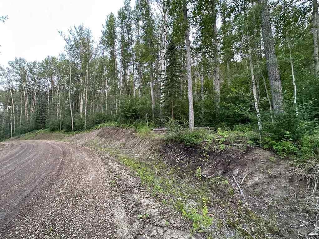 MLS® A2246256 - #14 Wapiti River   in NONE Rural Grande Prairie No. 1, County of, Land