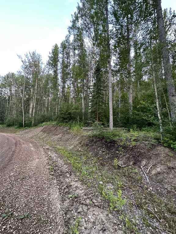 MLS® A2246256 - #14 Wapiti River   in NONE Rural Grande Prairie No. 1, County of, Land