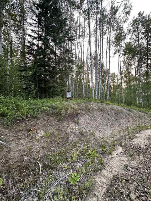 MLS® A2246256 - #14 Wapiti River   in NONE Rural Grande Prairie No. 1, County of, Land